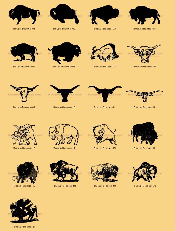 the different types of animals are shown in black and white on an orange background,