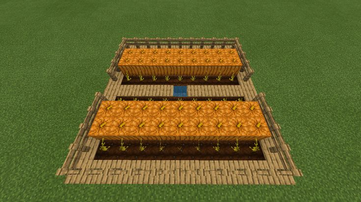 three rows of oranges sitting on top of a green field