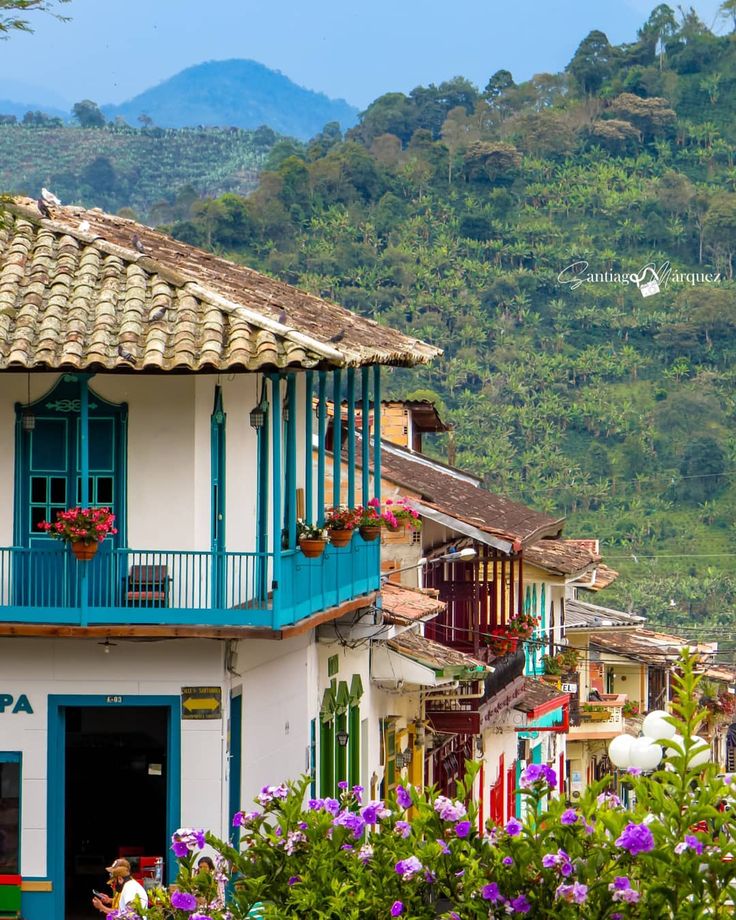 colorful buildings with balconies and flowers in the foreground on a mountain side