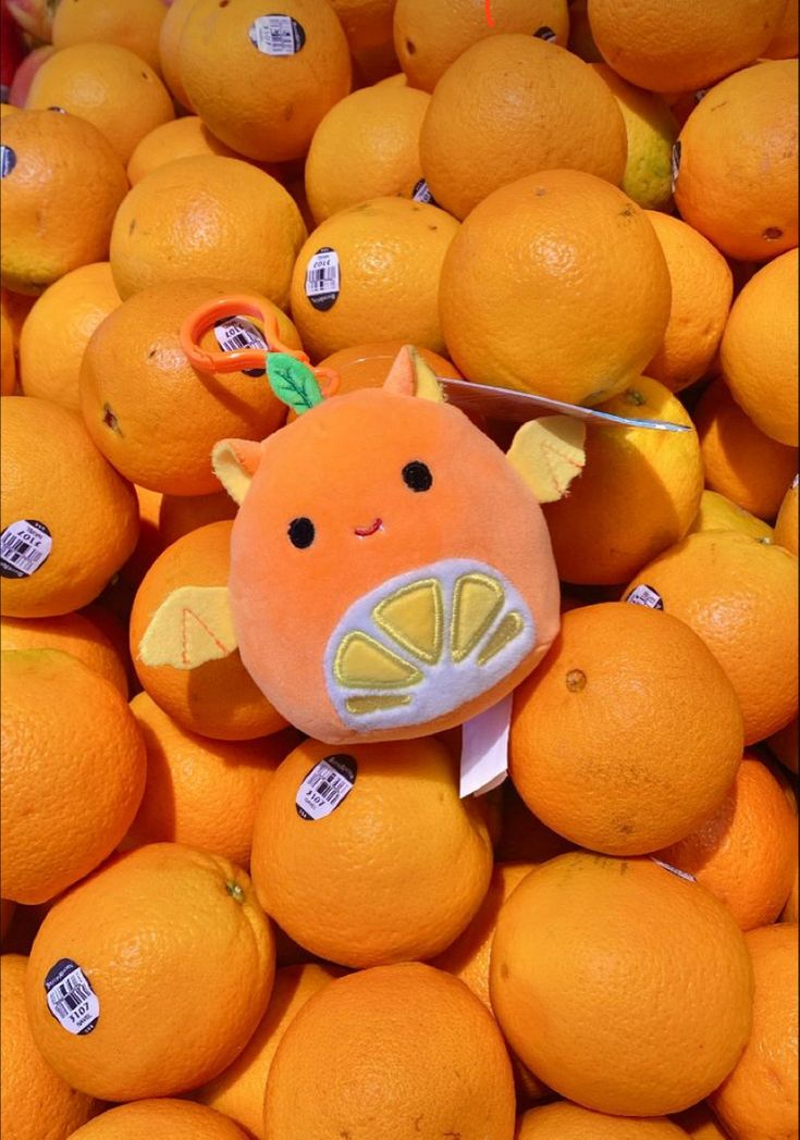 an orange stuffed animal surrounded by lots of oranges with price tags on it's ears