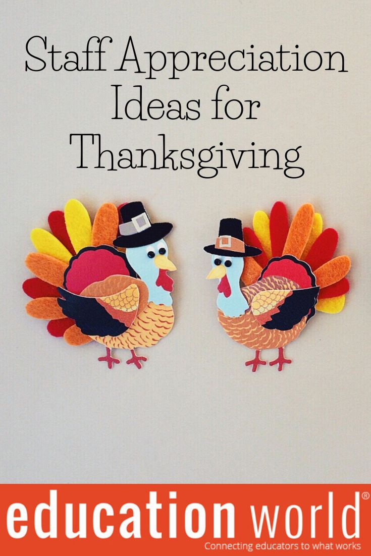 a book cover with two turkeys on it and the words, staff appreciation ideas for thanksgiving