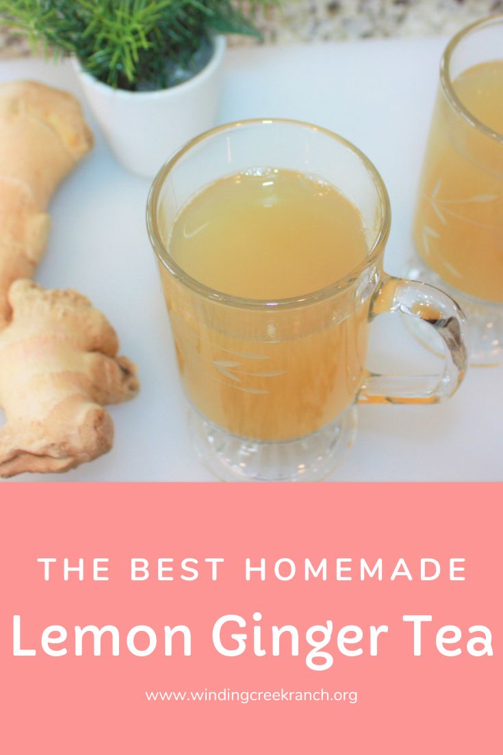 Click here to learn how to make the best homemade lemon ginger tea ever - Bonus - FREE recipe of lemon ginger tea with variations included! This recipe is very quick and easy, but so FULL of flavor.  There are so many different tea recipes out there, but let me persuade you to try this recipe, you won't be disappointed! Ginger has many health benefits, and is very comforting on a cold winter day. Give it a try! Cinnamon Ginger Tea, Ginger Lemon Tea Recipe, Ginger Lemon Honey Tea, Cinnamon Tea Benefits, Homemade Ginger Tea, Garlic Tea, Homemade Tea Recipes, Lemon Ginger Tea, Ginger Lemon Tea