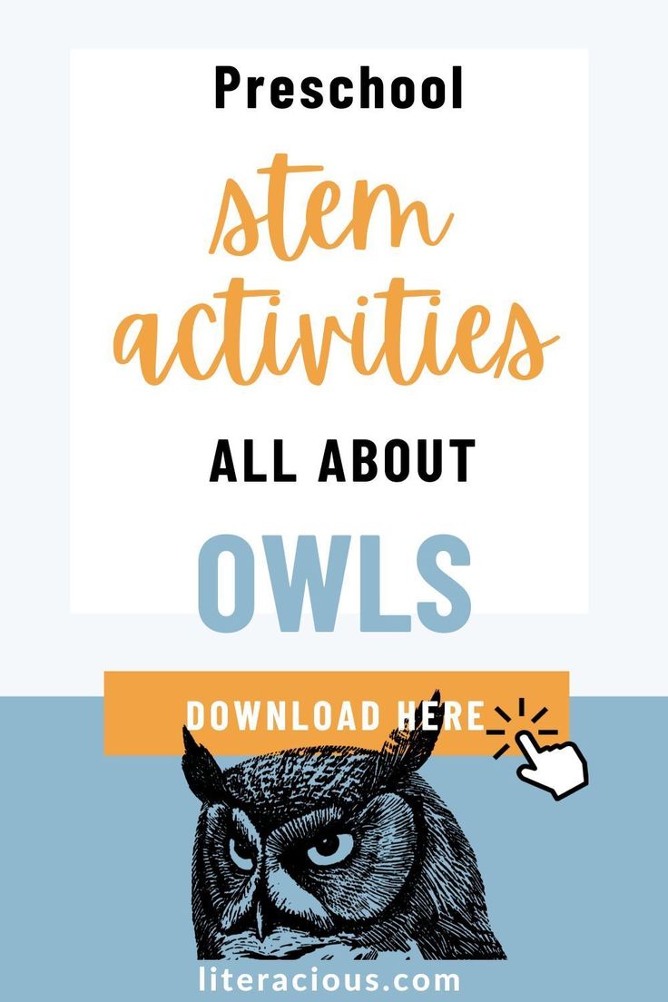 Owls Preschool Activities, Owl Preschool Activities, Owl Preschool Crafts, Owl Activities For Kindergarten, Owl Stem Activities, Owl Activities For Preschool, Owl Activity For Kids, Owl Science Activities For Preschool, Owl Science Activities For Kids