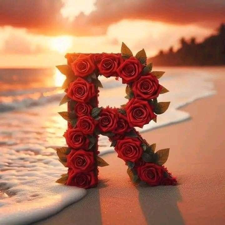 the letter r is made out of flowers on the beach at sunset with waves coming in