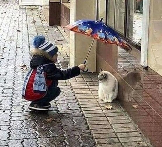 a small child holding an umbrella next to a cat