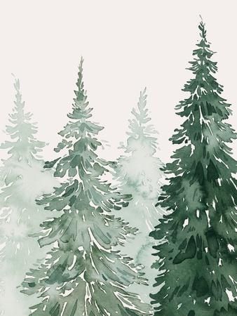 watercolor painting of evergreen trees in the foggy forest on a white and gray background