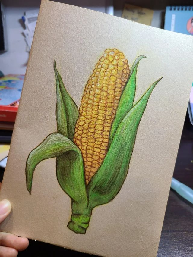 a drawing of a corn on the cob is being held up by someone's hand