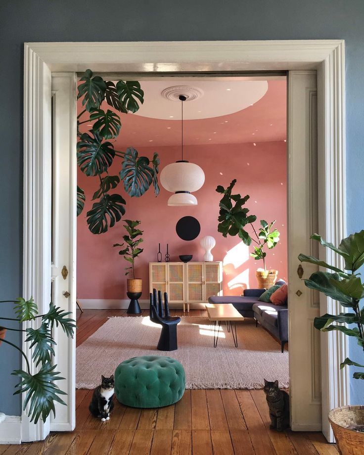 an open door leading to a living room with pink walls and plants on the wall