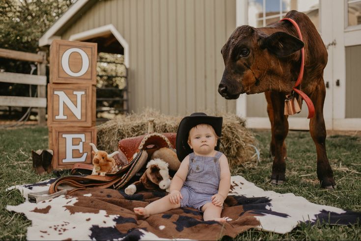 a baby sitting on a blanket in front of a cow and sign that says one