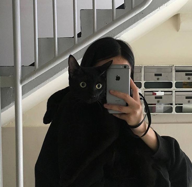 a woman taking a selfie with her cat on her cell phone in front of the stairs