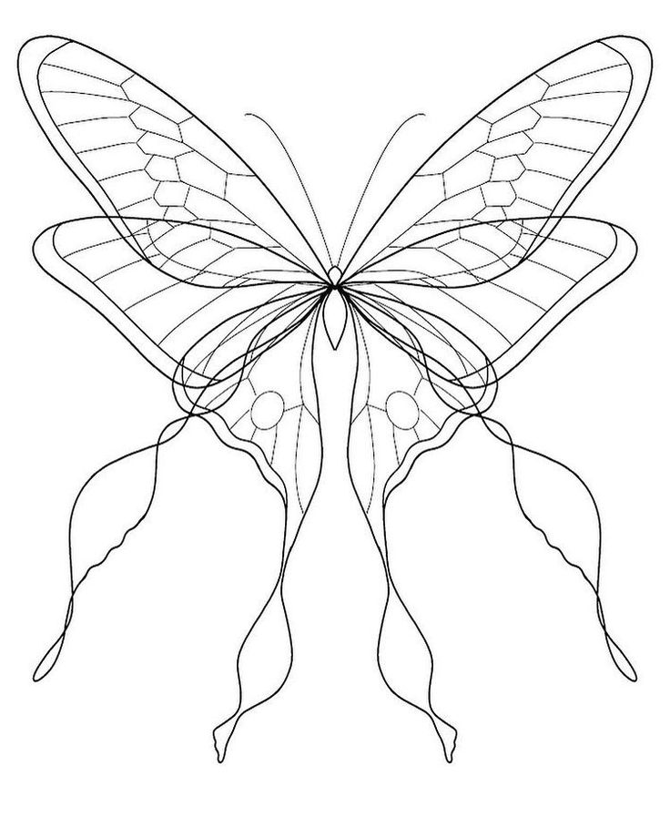 a butterfly that is drawn in black and white with lines on it's wings