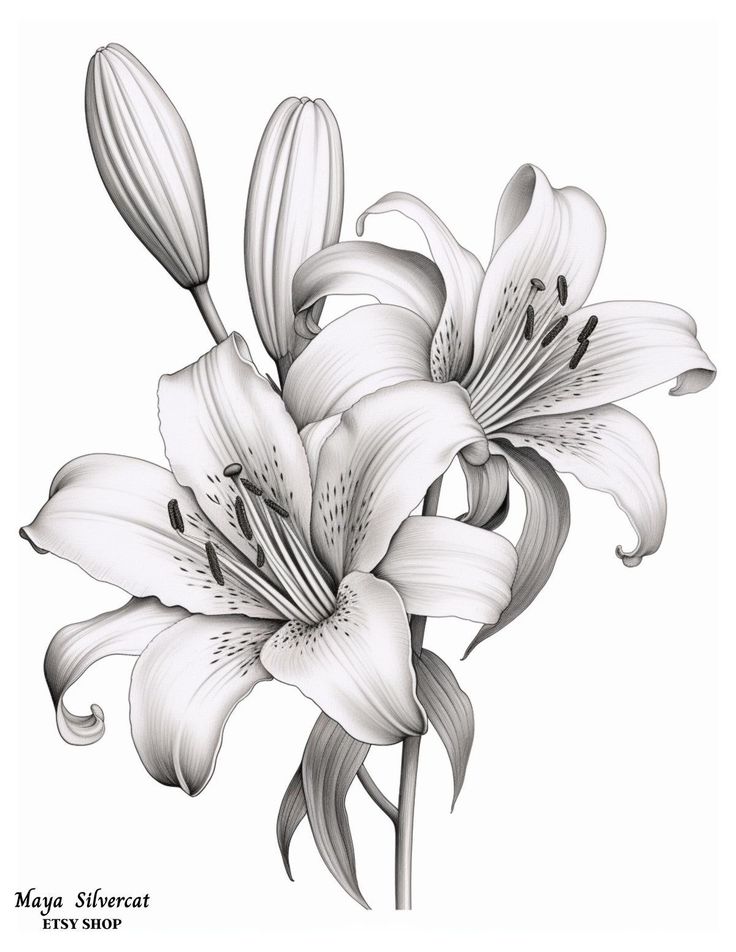 a black and white drawing of some flowers