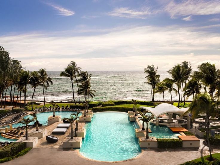 an outdoor swimming pool surrounded by palm trees next to the ocean with lounge chairs and umbrellas