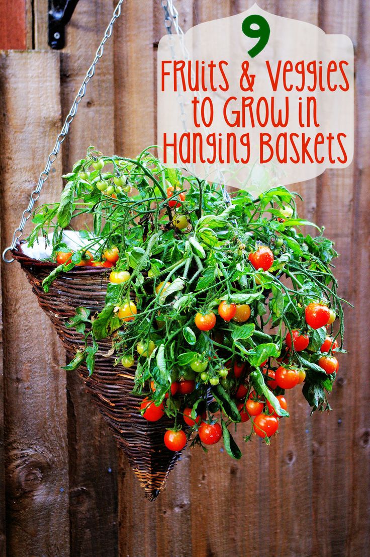 a hanging basket filled with lots of fresh fruits and veggies to grow in