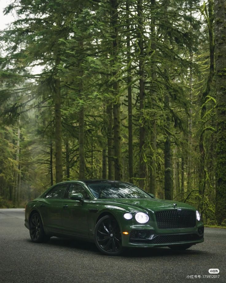 a green car parked on the side of a road in front of some tall trees