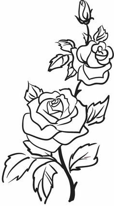 Roses, flowers, vine, leaves, bud, open, clip art, black and white Tatt00 Ideas, Rose Outline Tattoo, Rose Outline, Furniture Stencils, Svg Fonts, Flower Outline, Butterfly Tattoos, Rose Drawing, Diy Tattoo