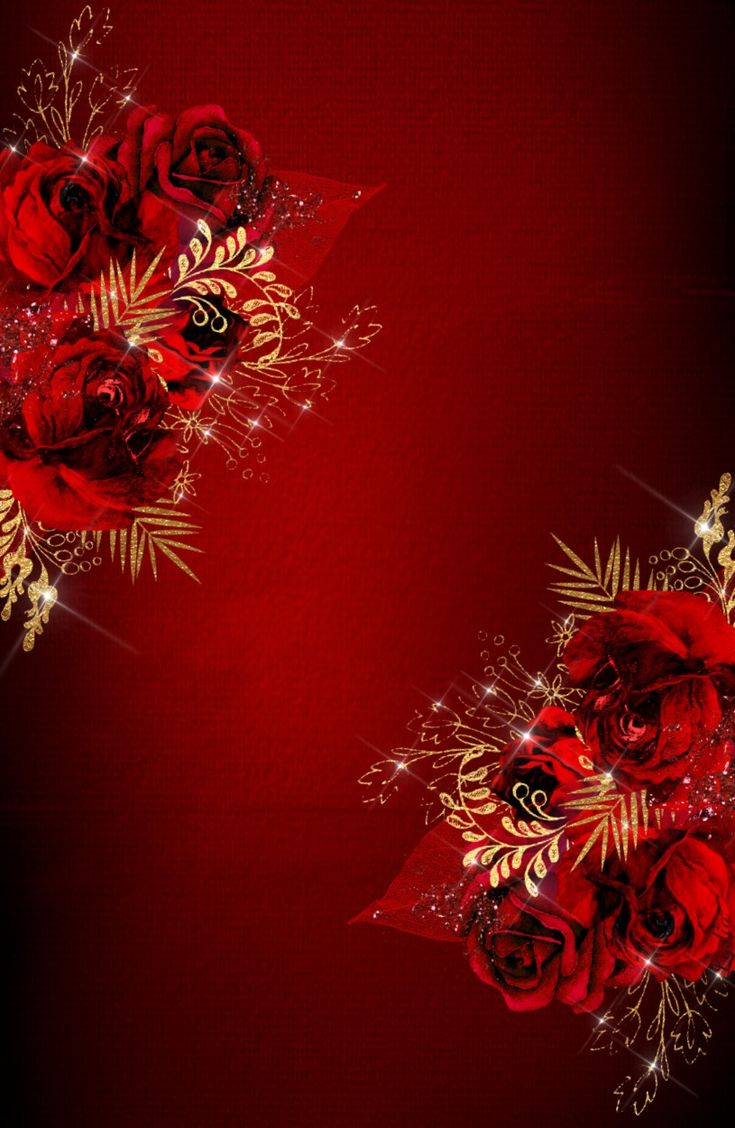 two red roses on a black background with gold stars and sparkles in the corner