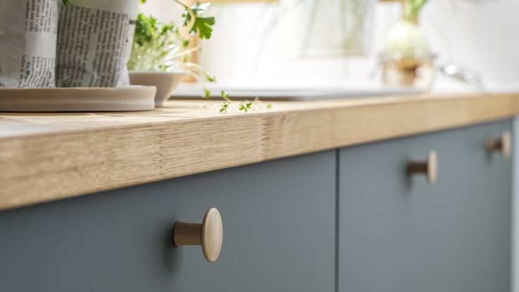 a kitchen counter with some plants on it