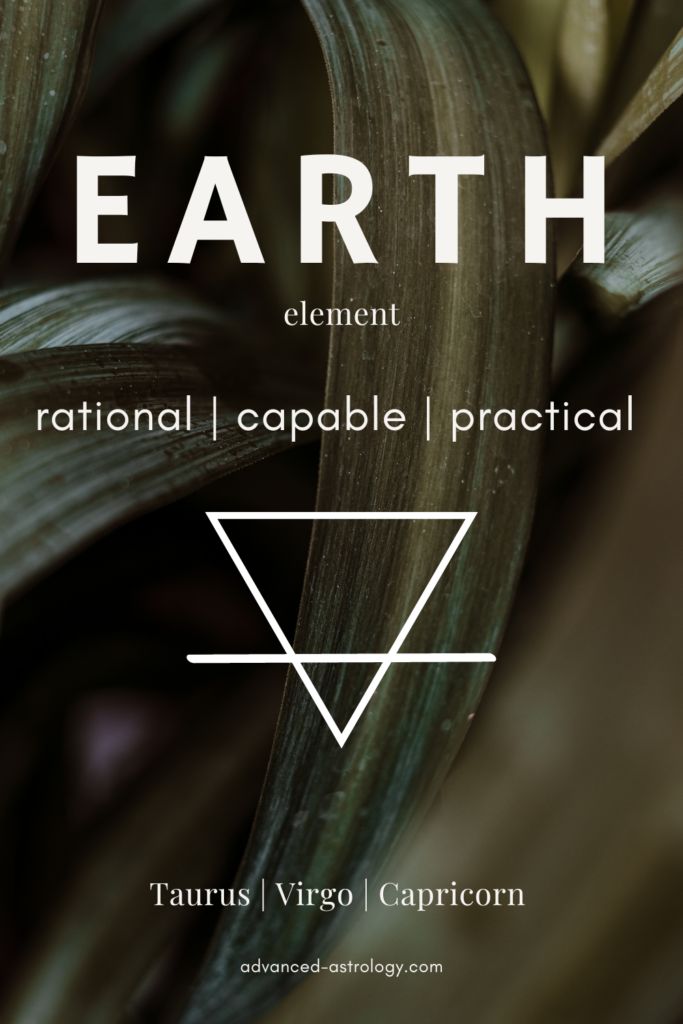 the earth element is shown in white and black with an image of a plant behind it