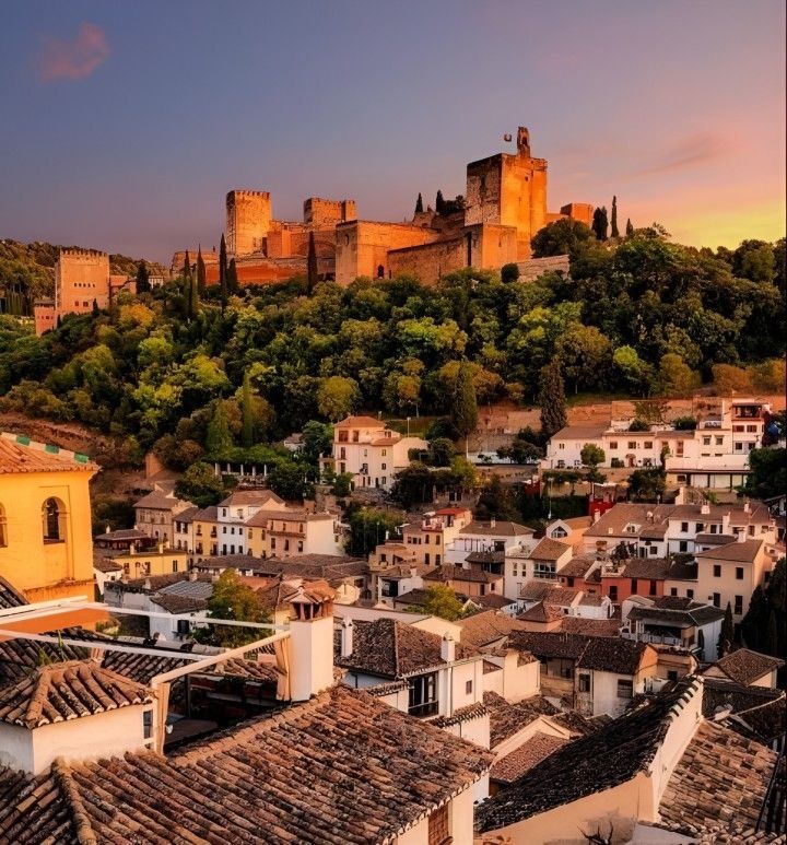 an aerial view of a city with many buildings and trees on the hill in the background