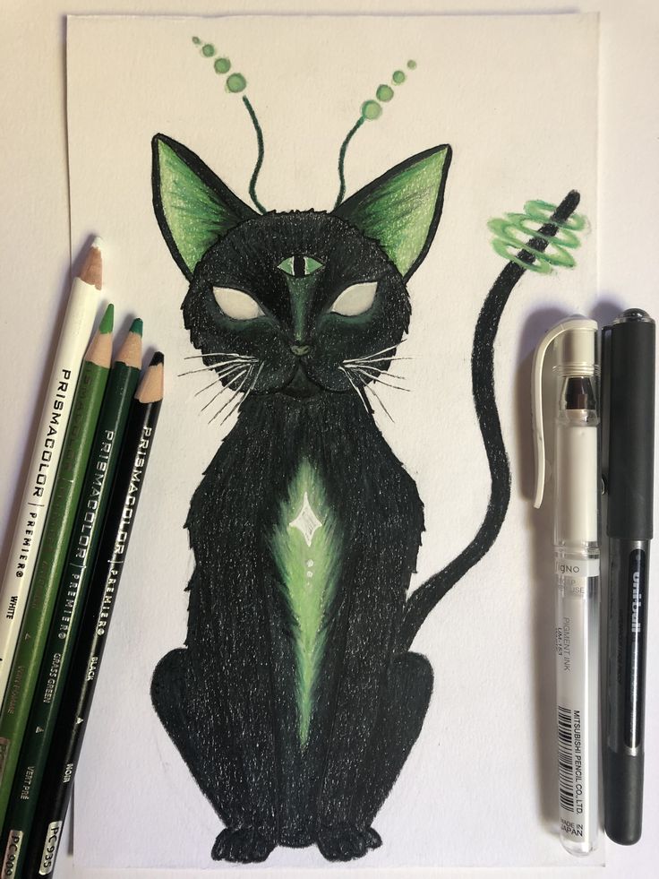 a drawing of a black cat with green eyes sitting next to markers and pencils