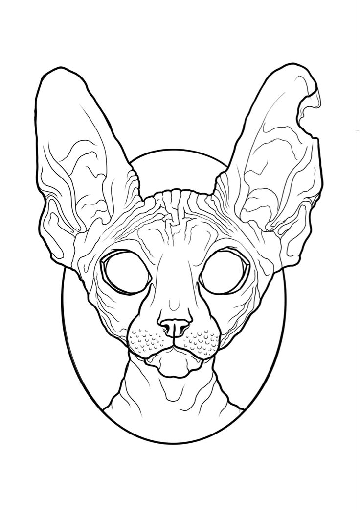 a drawing of a sphydrah cat with big ears