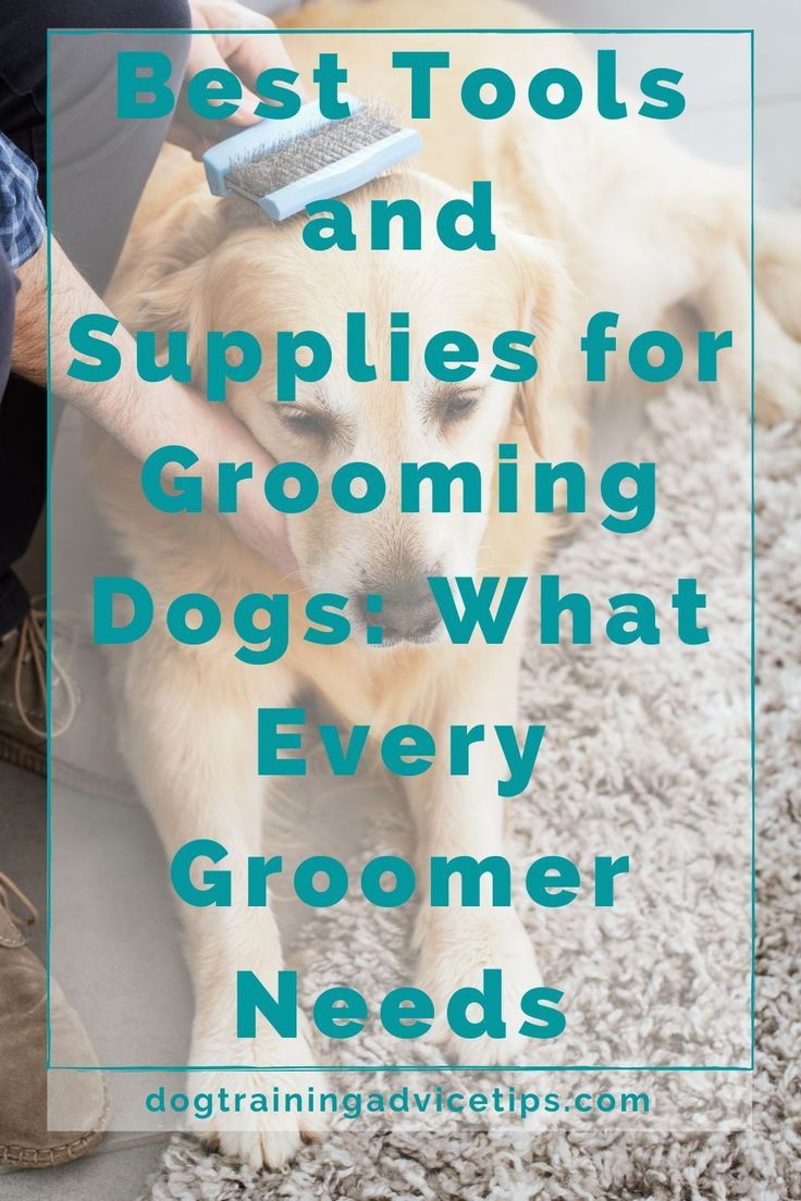 a dog grooming it's fur with the words best tools and supplies for grooming dogs what every groomer needs