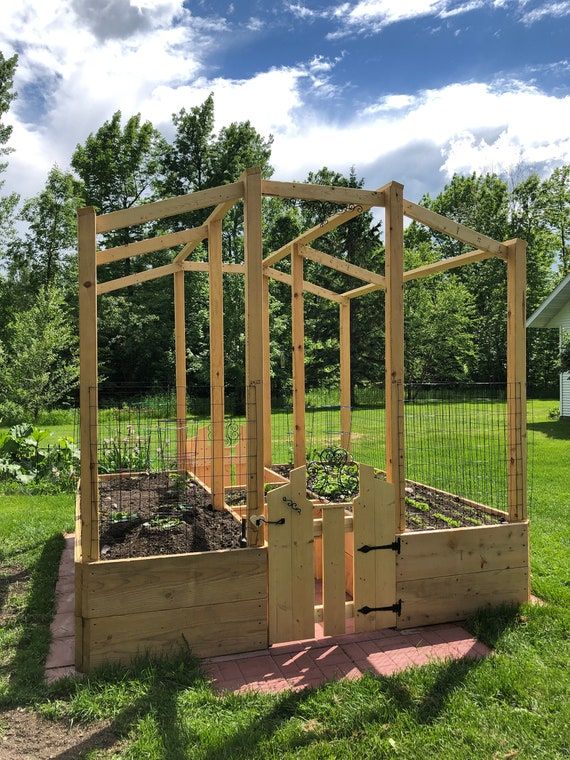 a wooden garden bed with plants growing in it