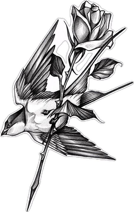 a black and white drawing of a bird on a branch with flowers in its beak