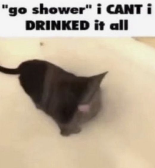 a black cat walking across a white floor next to a sign that says, i go shower i can't drink it all