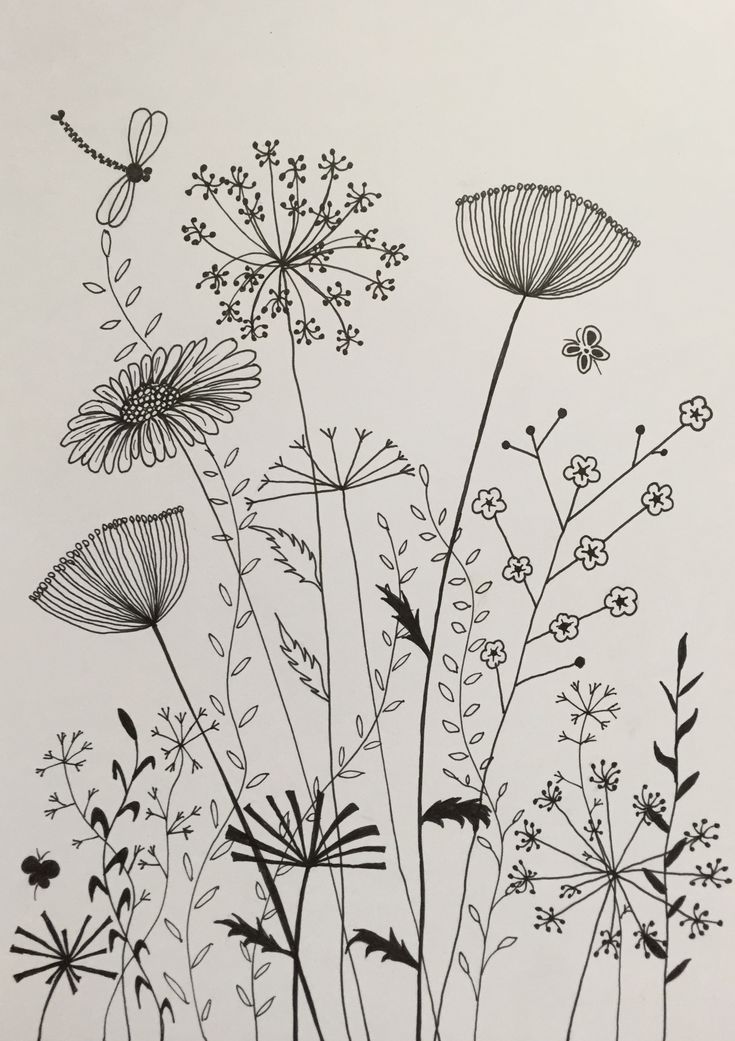 black and white drawing of wildflowers with dragonflies on the top one side