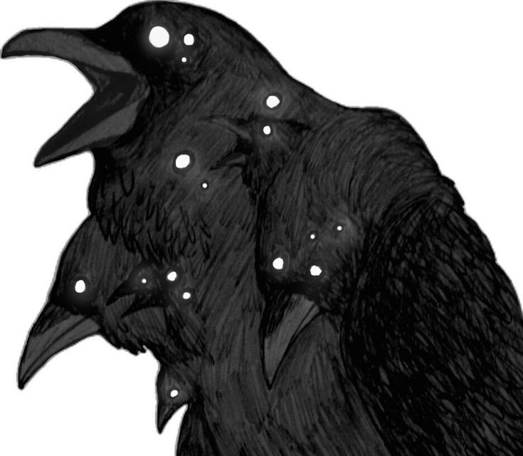 a drawing of two black crows with white dots on their eyes and beaks, facing each other