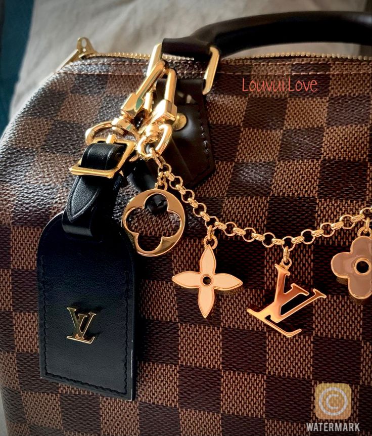 Lv Bag Charm, On The Go Bag, Small Luggage, Lv Speedy, Go Bag, Lv Bags, Go Bags, Louis Vuitton Accessories, Bag Chain