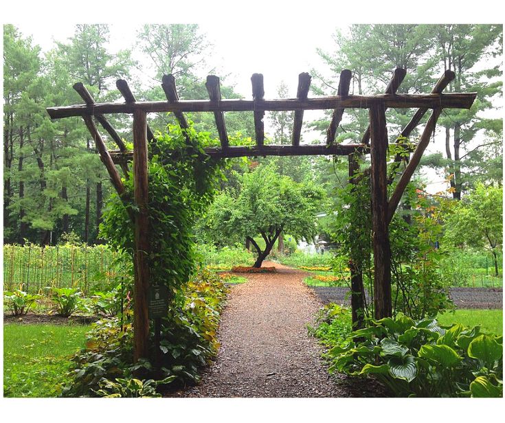 a wooden arbor in the middle of a garden with lots of greenery on it