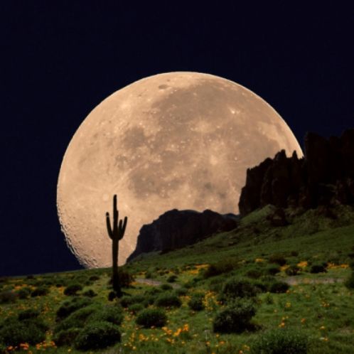 the full moon is seen over a cactus and mountains