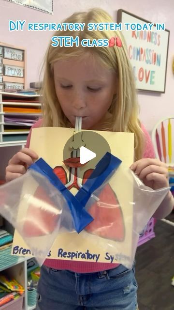 Shelby Taylor | Today we made DIY respiratory systems in our homeschool STEM class!🫁
.
.
.
#homeschool #homeschoolfun #science #stem #teacher... | Instagram Science Projects For First Grade, Science Project For 1st Grade, 2nd Grade Science Fair Projects, Respiratory System Projects, Respiratory System Activities, Arts N Crafts For Kids, Ks1 Science, 4th Grade Science Projects, Homeschool 2nd Grade