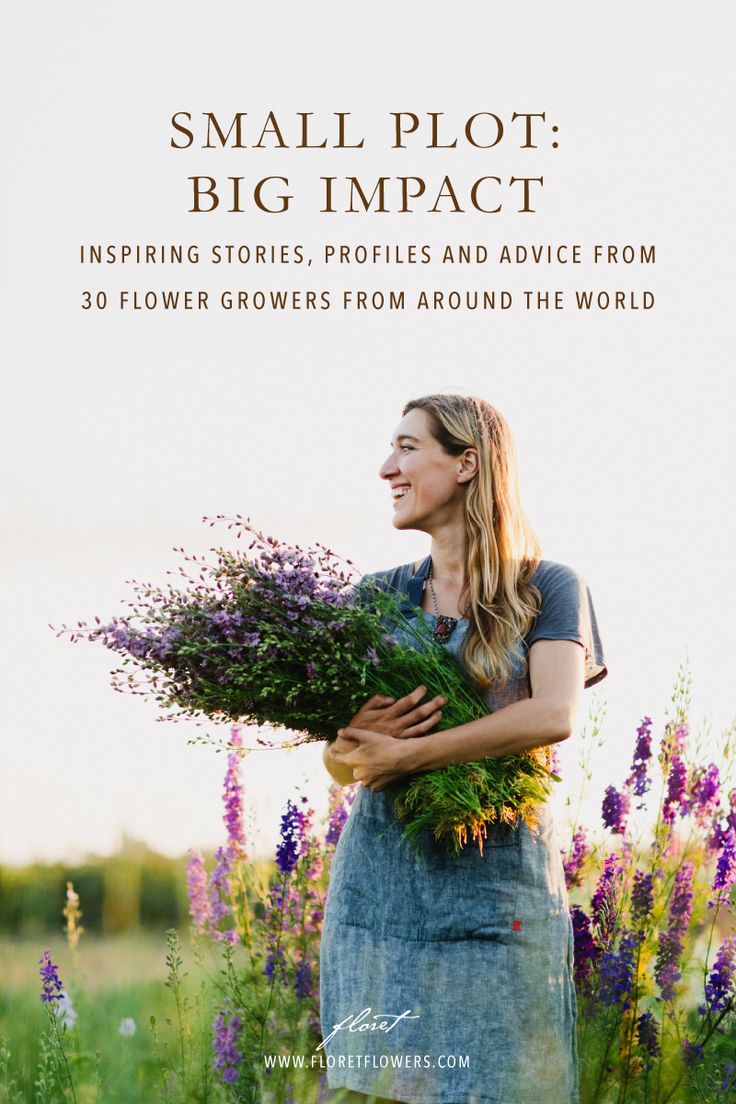 the cover of small plot big impact, featuring a woman holding flowers in her hands