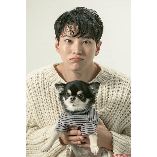 a young man holding a small dog wearing a sweater on his chest and looking at the camera