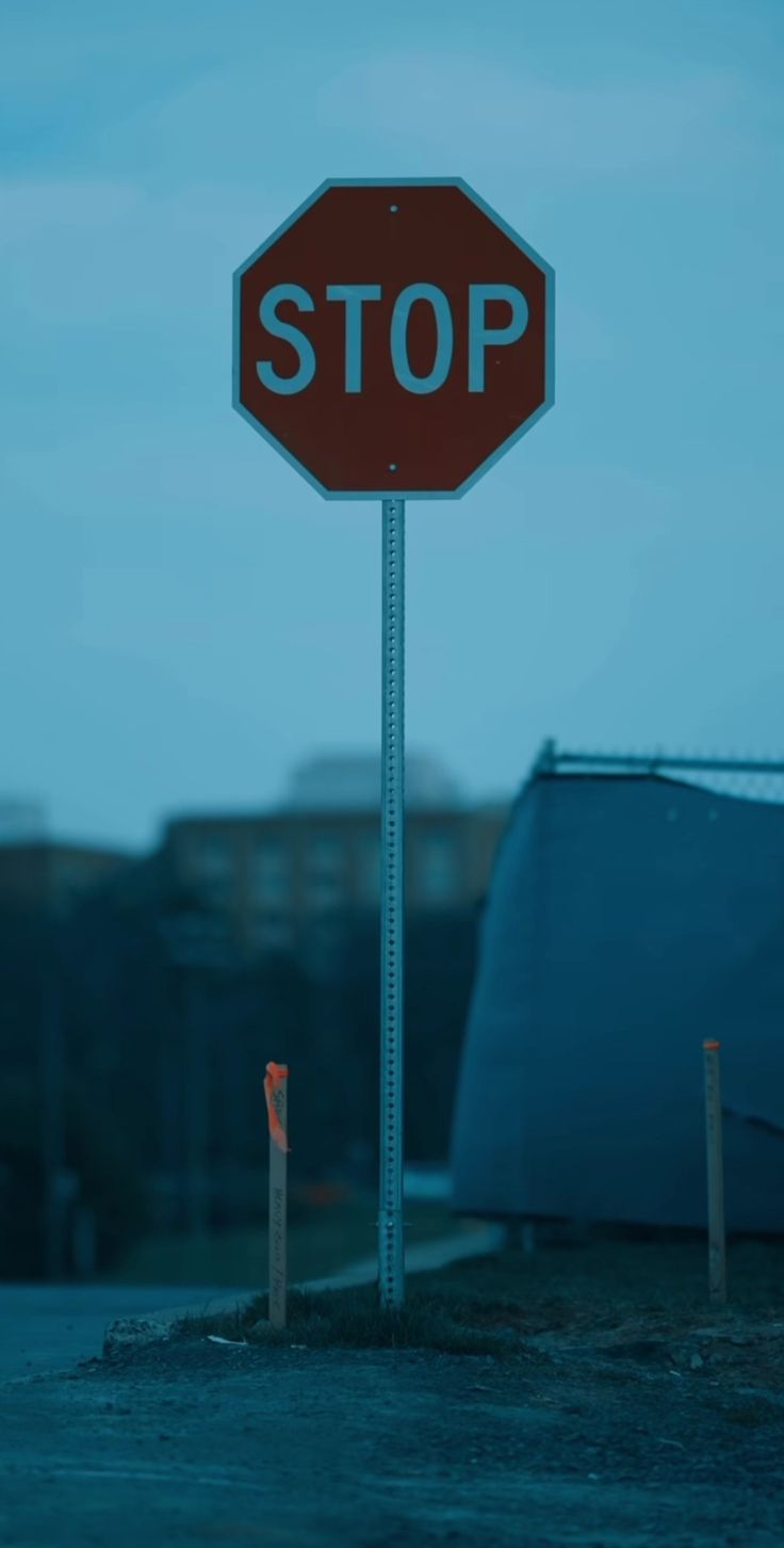 a red stop sign sitting on the side of a road