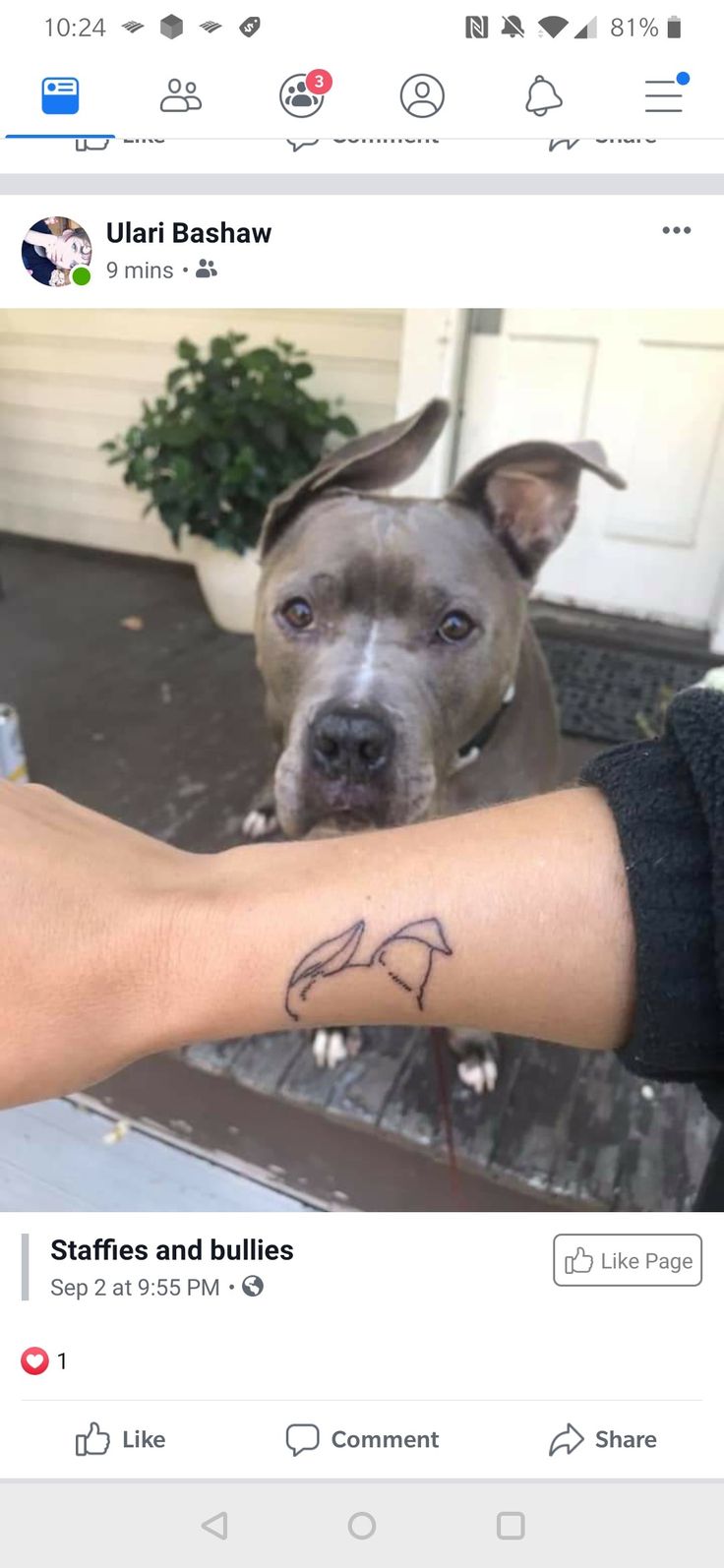 a dog is looking at the camera with his owner's arm tattoo on it