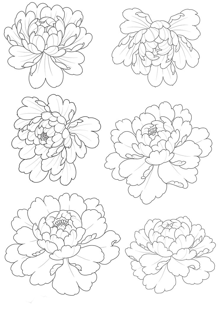 four different types of flowers that are outlined in black and white, each with one large flower