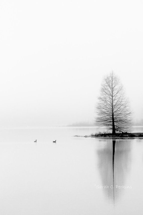 black and white photograph of a lone tree in the middle of a body of water