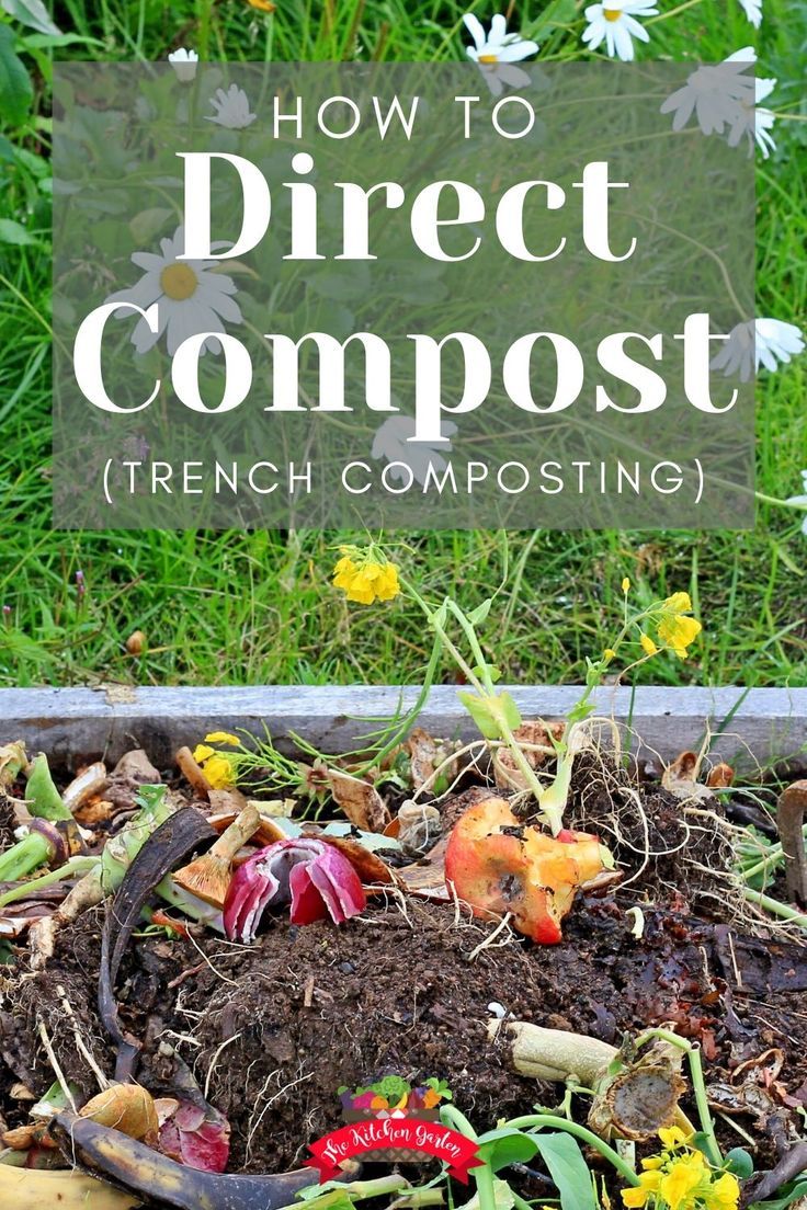 a composting box full of dirt and flowers with the words how to direct compost