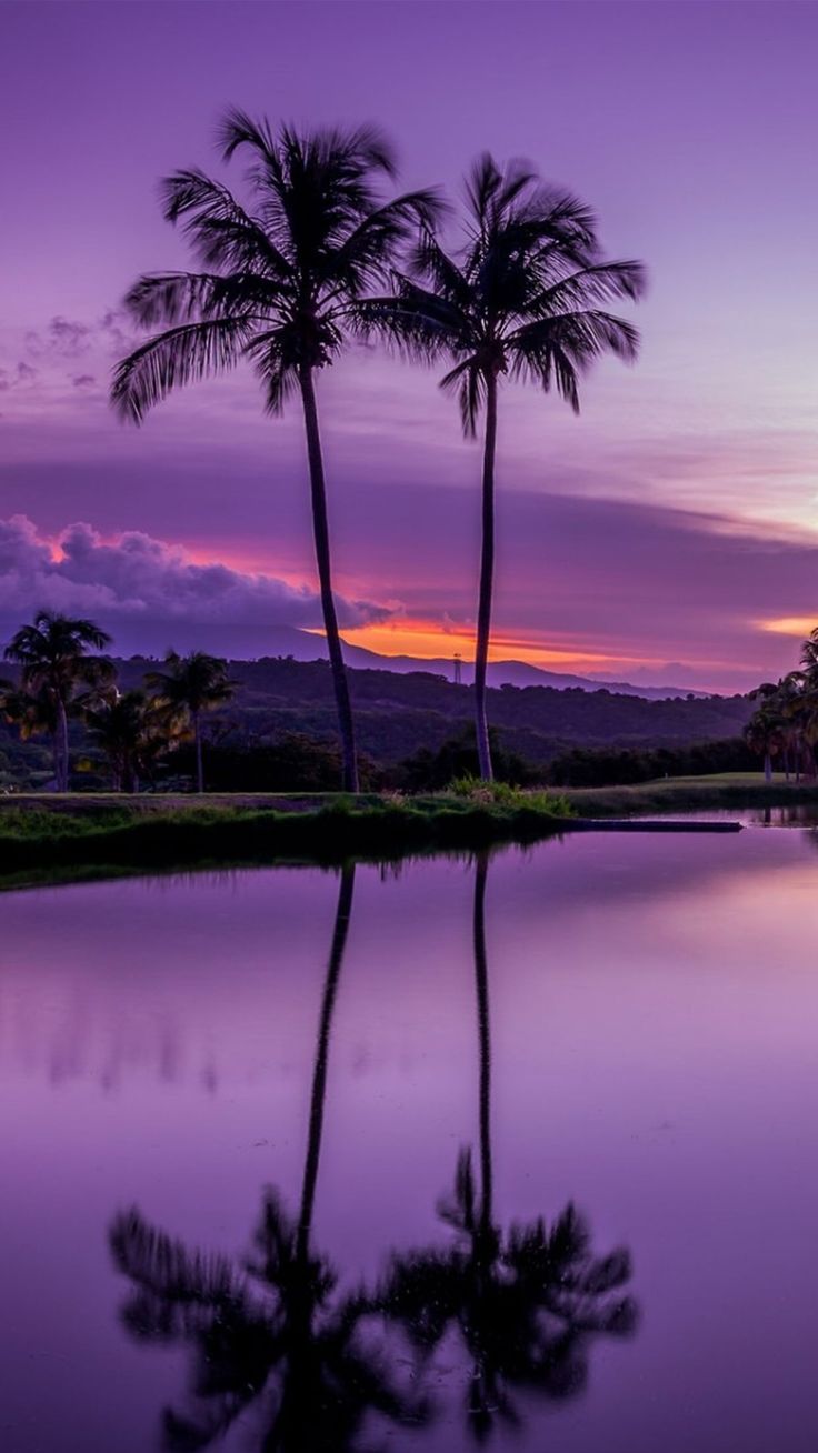 two palm trees are reflected in the water at sunset, with mountains in the background