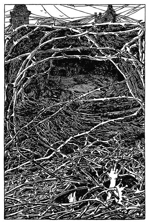 a black and white drawing of a bird in a nest with branches on the ground