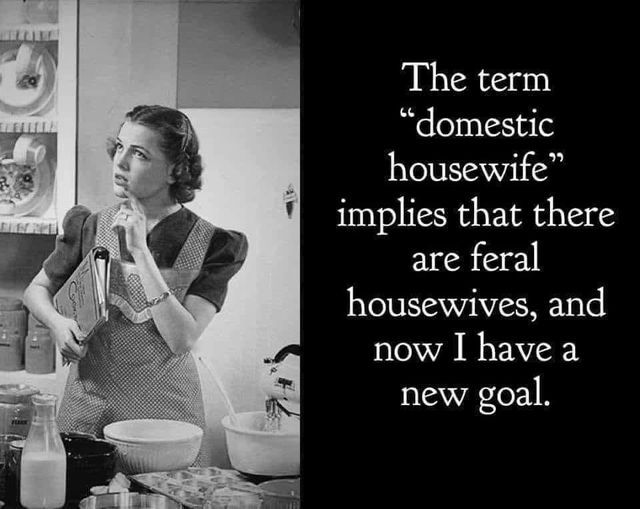 a woman standing in front of a counter with food on it and a quote about the term domestic housewife impples that there are fer