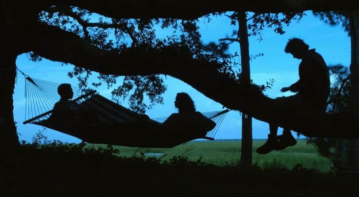 two people sitting in hammocks under trees at night, silhouetted against the evening sky