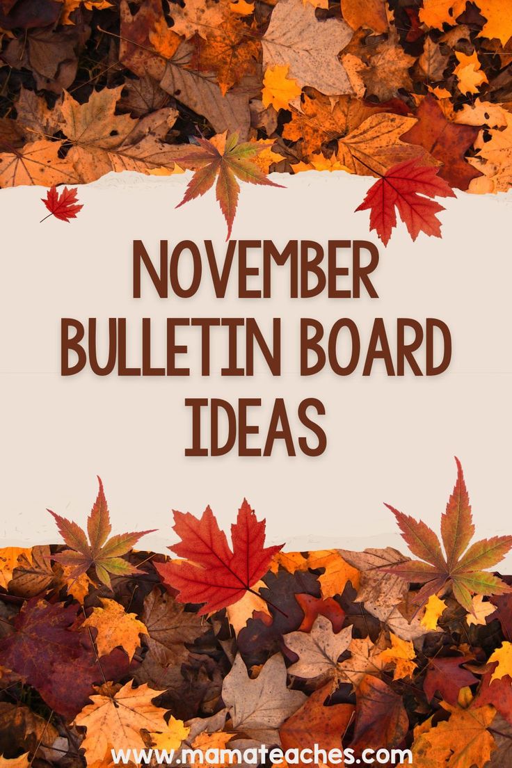 the words november bulletin board ideas surrounded by autumn leaves