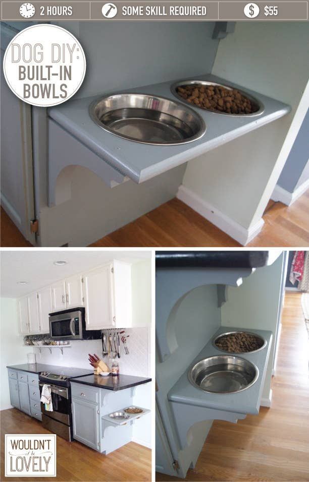 the kitchen is clean and ready to be used as a dog bowl in the oven