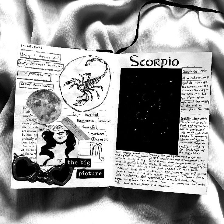 an open book with pictures and words on the pages, including scorppo